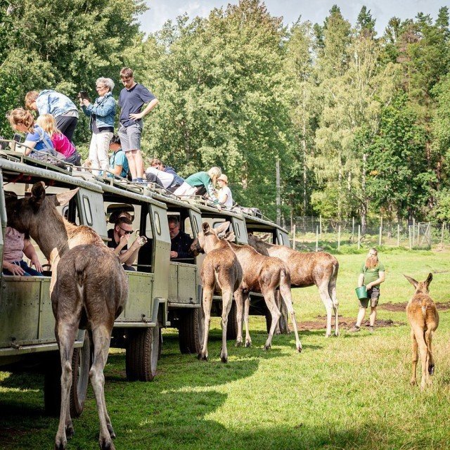Trips for the whole family