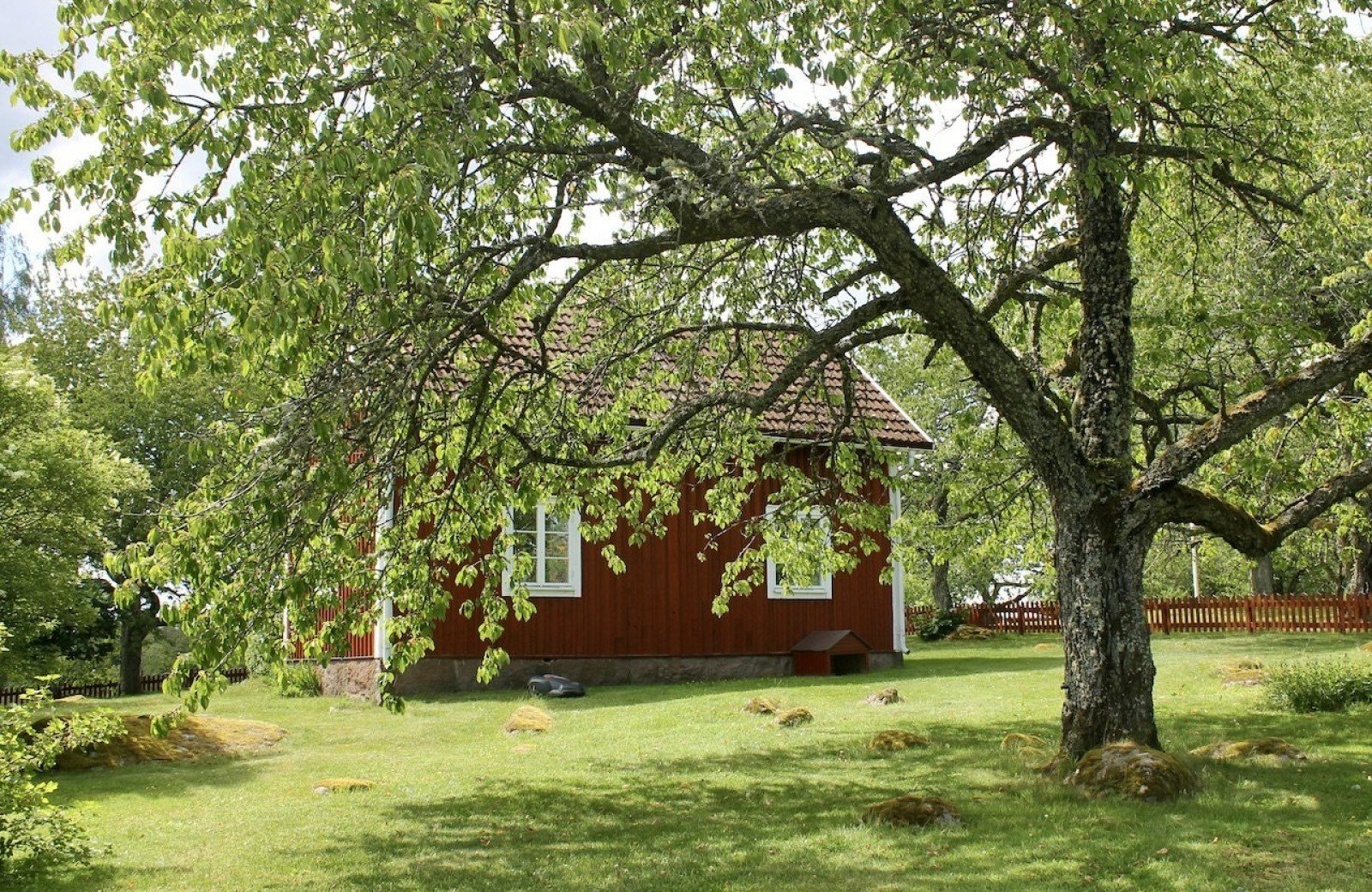 Tuin vakantiehuis emil