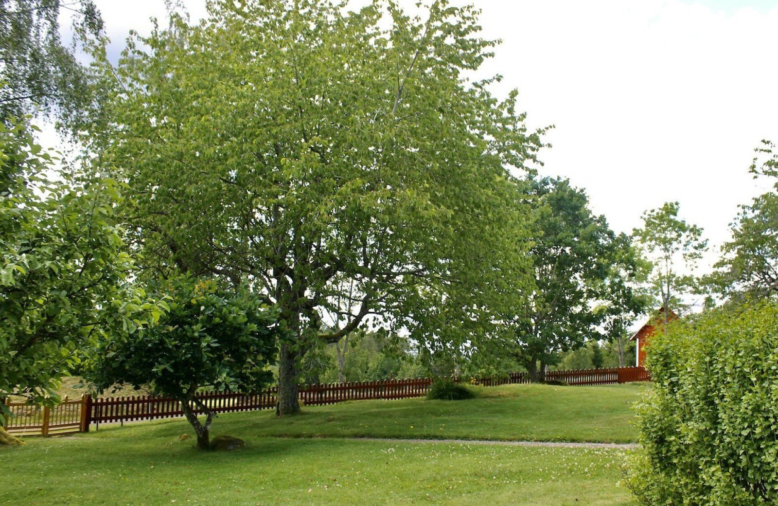 Tuin van vakantiehuis emil